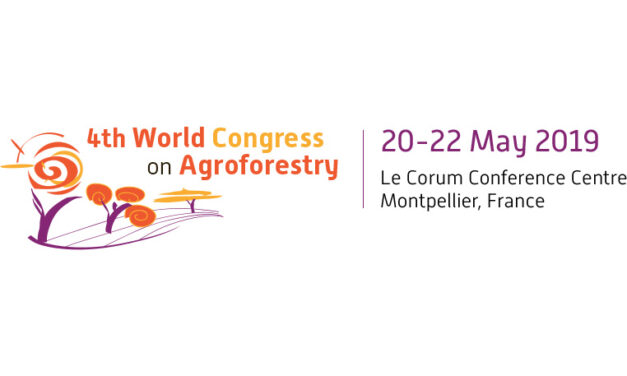 Les premiers résultats des travaux présentés au Congrès Mondial d’agroforesterie.