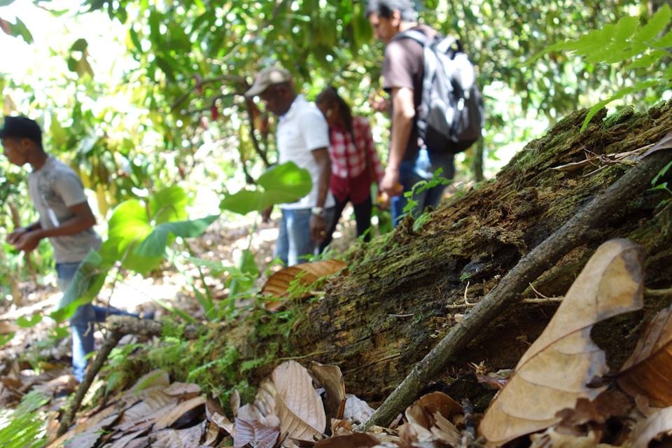 An interview with Alexandre, field coordinator in the Dominican Republic