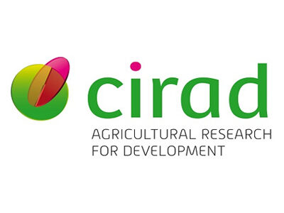 Cirad