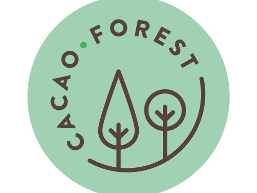 Nouvelle publication scientifique pour Cacao Forest