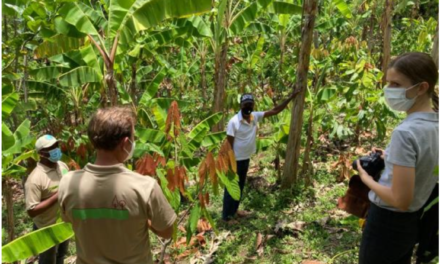 Visite de l’AFD dans les plantations