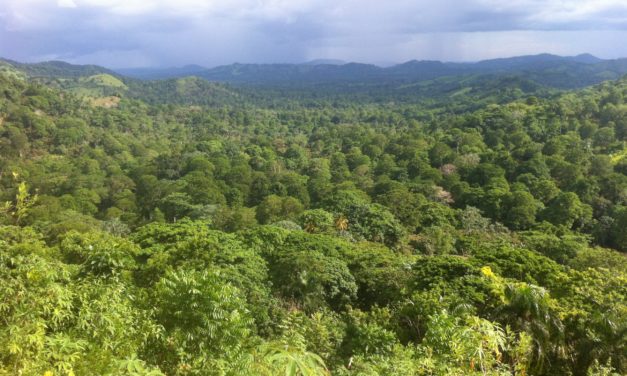 Les défis de l’agroforesterie cacaoyère en République Dominicaine