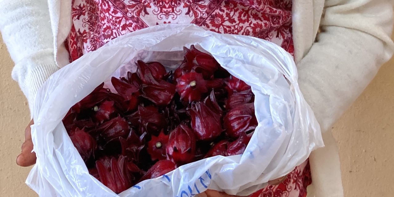 A new product with high added value: hibiscus flower