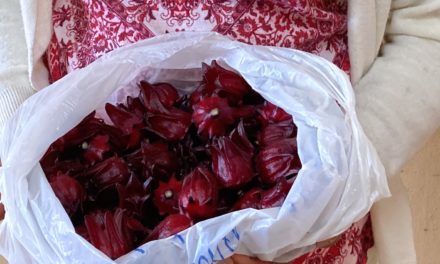 A new product with high added value: hibiscus flower