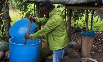 Cacao Forest technicians teach REP producers how to make organic fertilizers