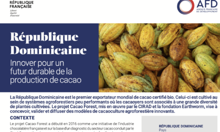 Mise en avant de Cacao Forest par l’AFD