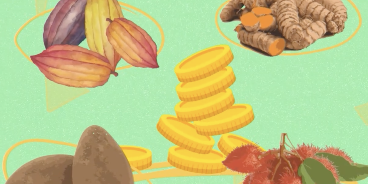 Vidéo : valorisation des produits associés au cacao