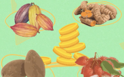Video: Commercial exploitation of cacao-associated products