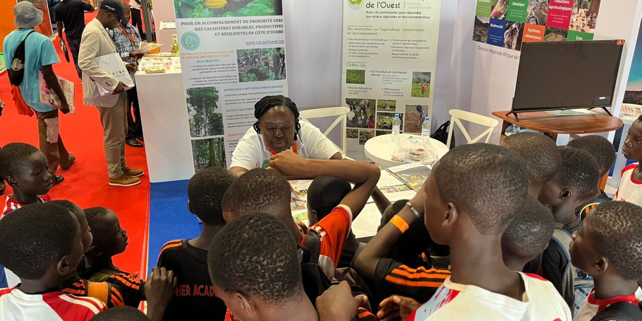 Cacaoforest au Sara 2025