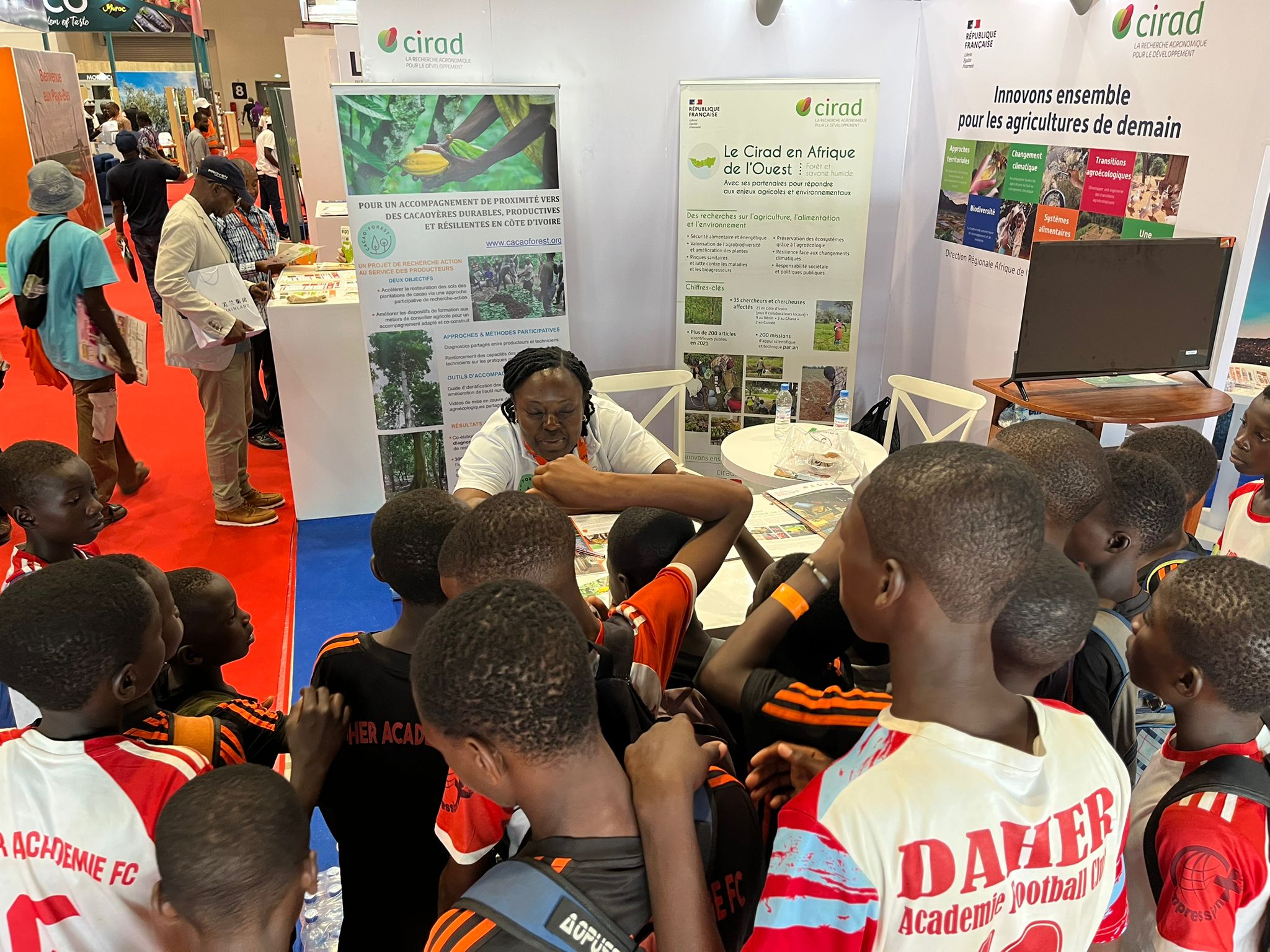 Cacaoforest au Sara 2025