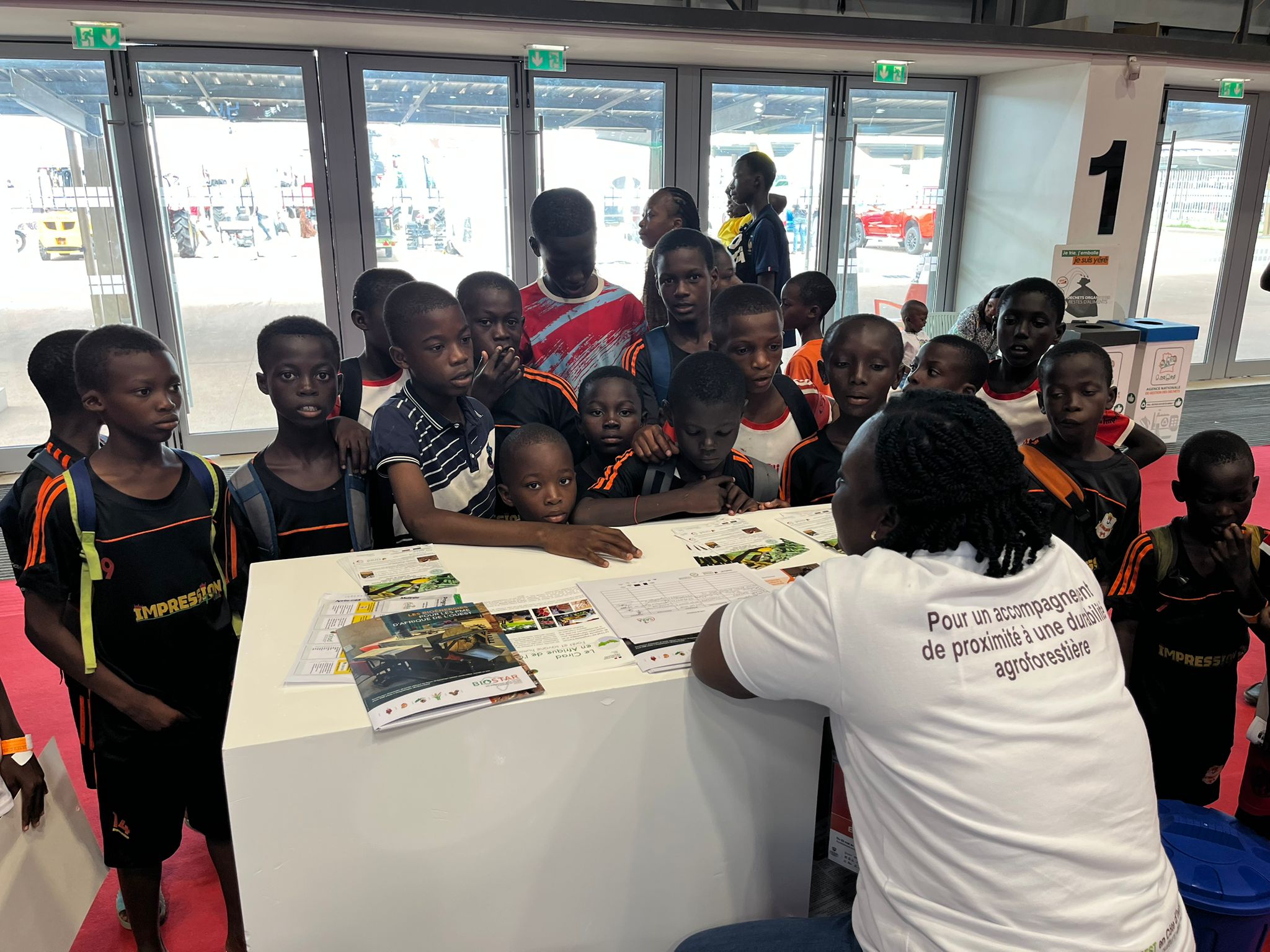 Cacaoforest au Sara 2025