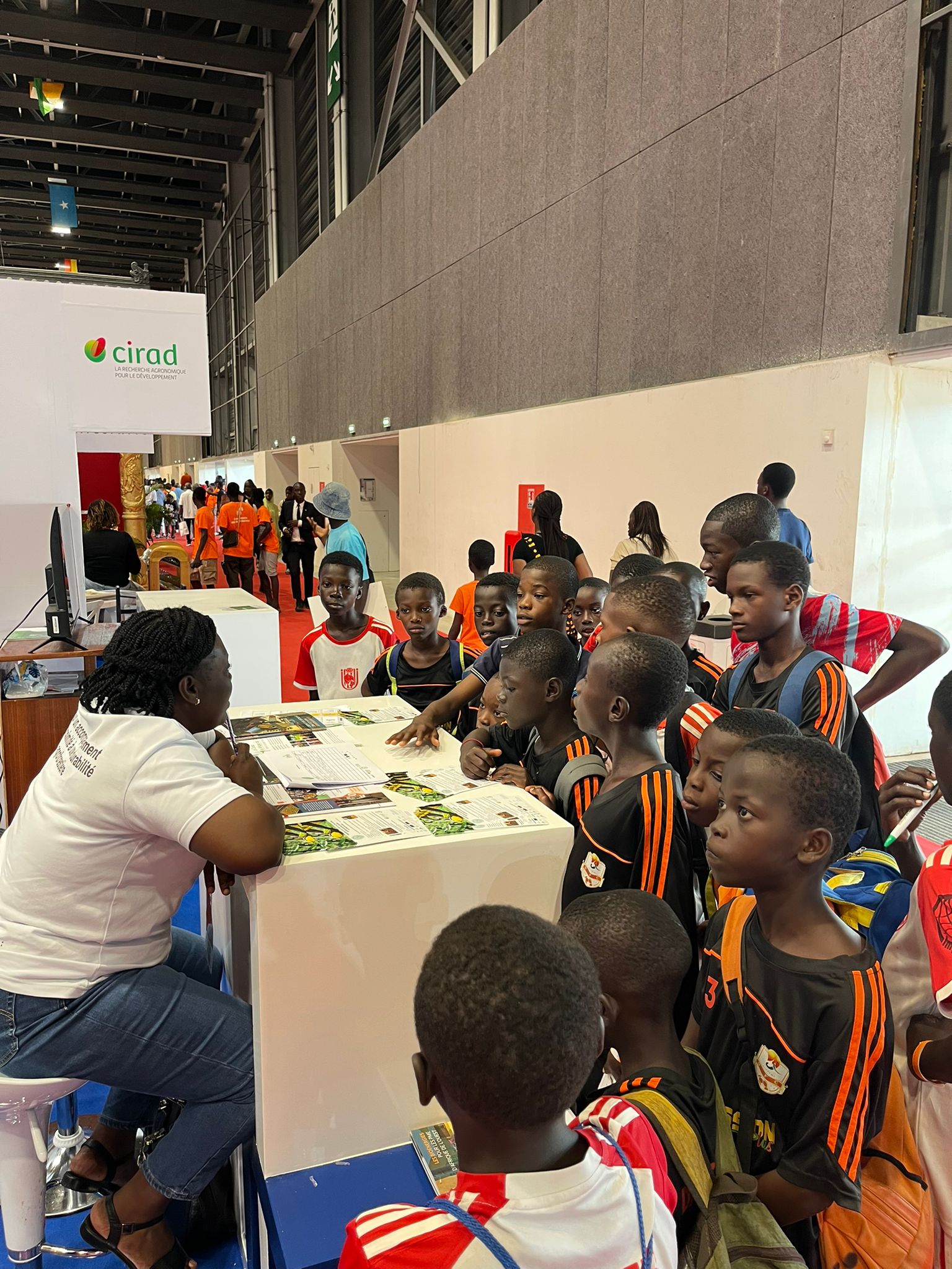 Cacaoforest au Sara 2025