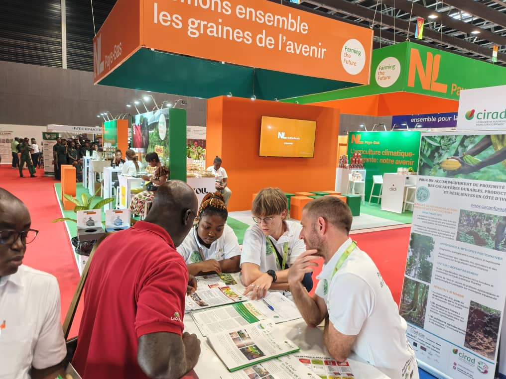 Cacaoforest au Sara 2025