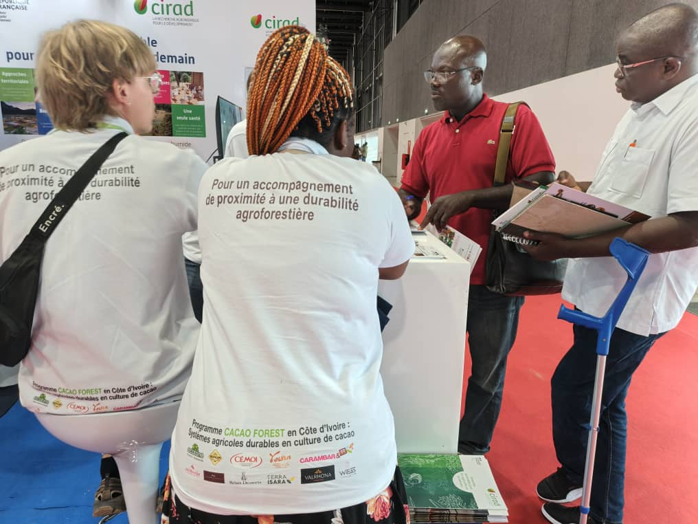 Cacaoforest au Sara 2025